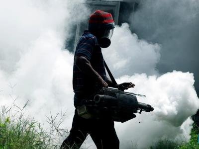 School children account for nearly quarter of Sri Lanka's dengue patients: Official