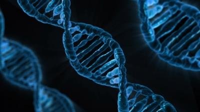 Genes for learning & memory are 650 mn years old: Study