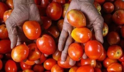 Indian expat in Dubai flies home with 10kg tomatoes in suitcase