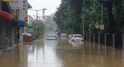 Typhoon causes flood, wind damage in S.Korea