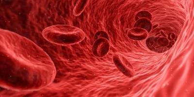 Study shows platelets injections can replicate benefits of exercise in brain