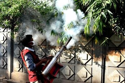 Bangladesh records 21 dengue deaths, highest in single day this year