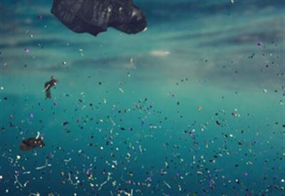 Reducing plastic pollution by 5pc yearly may stabilise ocean microplastics: Study