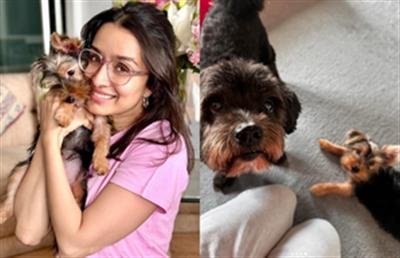 Shraddha Kapoor reveals her pet dog’s favourite song