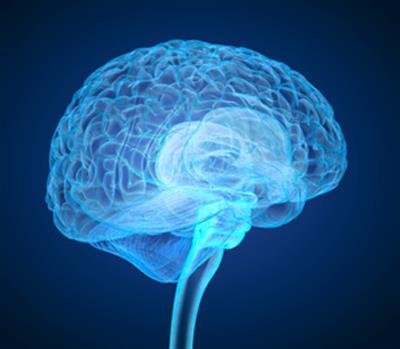 Scientists decode brain activity that can help treat anxiety and depression