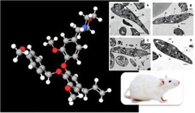 Study suggest Brazilian plant compound may be key to treating kala-azar