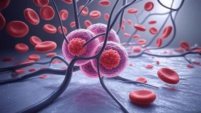 Study links global warming to rising cancers among women