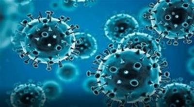 IIT Madras study shows viruses follow seasonal and yearly cycles