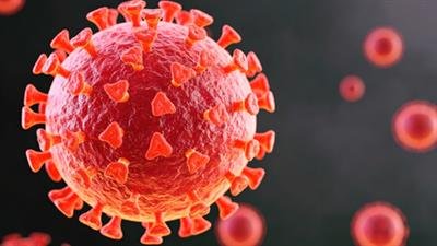 Covid-19 virus protein triggers immune attack on healthy cells: Study