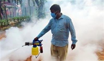 France confirms 1st locally transmitted chikungunya case in 2025