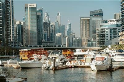 Snorkeling and Diving from a Yacht & Underwater World Off the Coast of Dubai
