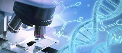 Australian scientists discover proteins that could help fight cancer, slow ageing