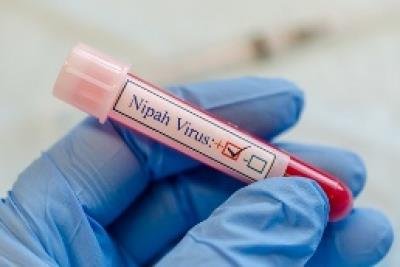 After man dies of Nipah virus, six Kerala districts put on alert