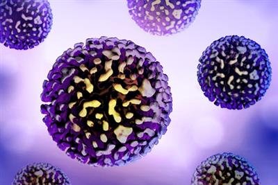Czech Republic reports sharp rise in hepatitis-A cases