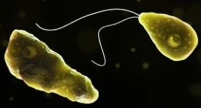 11-year-old girl diagnosed with amoebic meningitis in Kerala; cases rise to 3