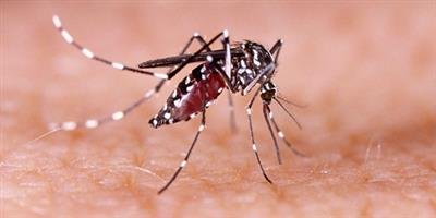 Health department on high alert as dengue cases surge in Patna