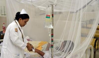 Bangladesh records highest single-day toll of 5 dengue deaths