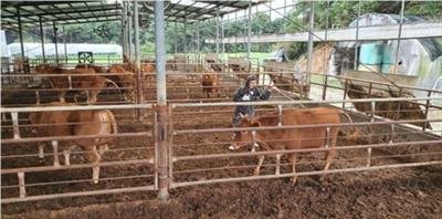 South African minister expresses concern over spreading foot-and-mouth disease