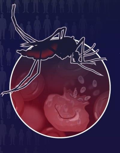 Alert in Kerala’s Malappuram after 3 of a migrant worker family test positive for malaria