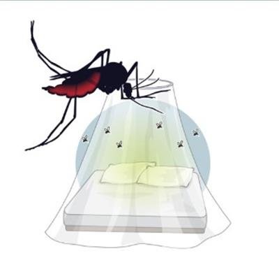 Over 34.9 mn globally at risk of chikungunya every year, South Asia tops: Study