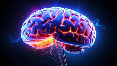 Parkinson's disease causes progressive changes in brain's blood vessels: Study