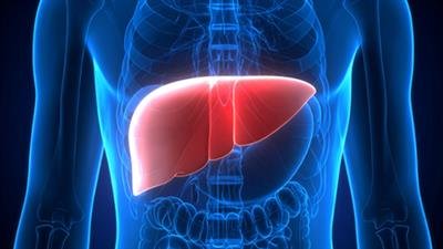 New monoclonal antibody safe and effective for rare liver disease