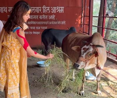 Ananya Panday performs 'Gau Seva' during her visit to Lord Shiva temple
