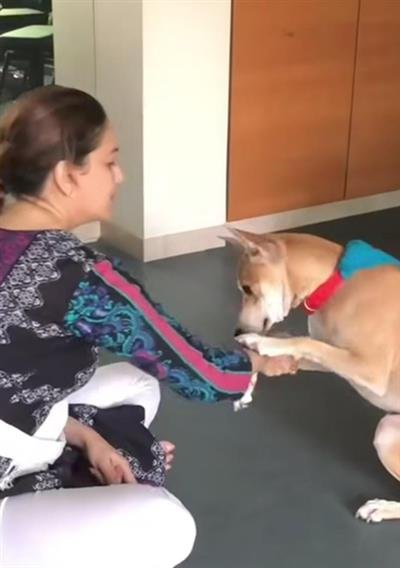 Madhuri Dixit spends fun time with her fur babies, Dr Nene shares cute video