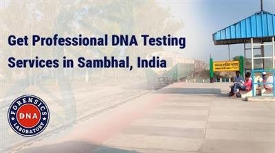 Finding Clarity Through Professional DNA Testing Services in Sambhal