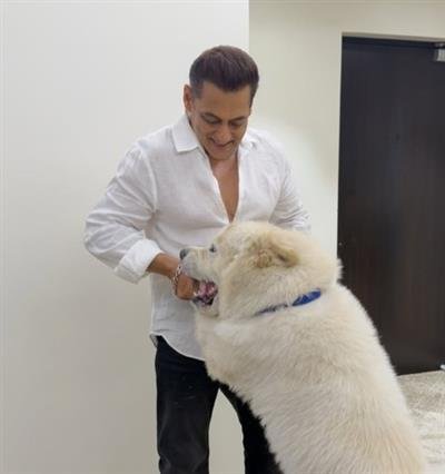 Salman Khan shares a glimpse of his midnight ‘sukh’