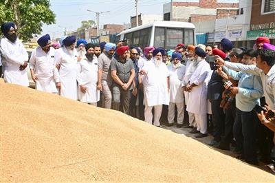 CM responsible for not securing relaxation in moisture norms of wheat due to which farmers are suffering - Sukhbir Badal.